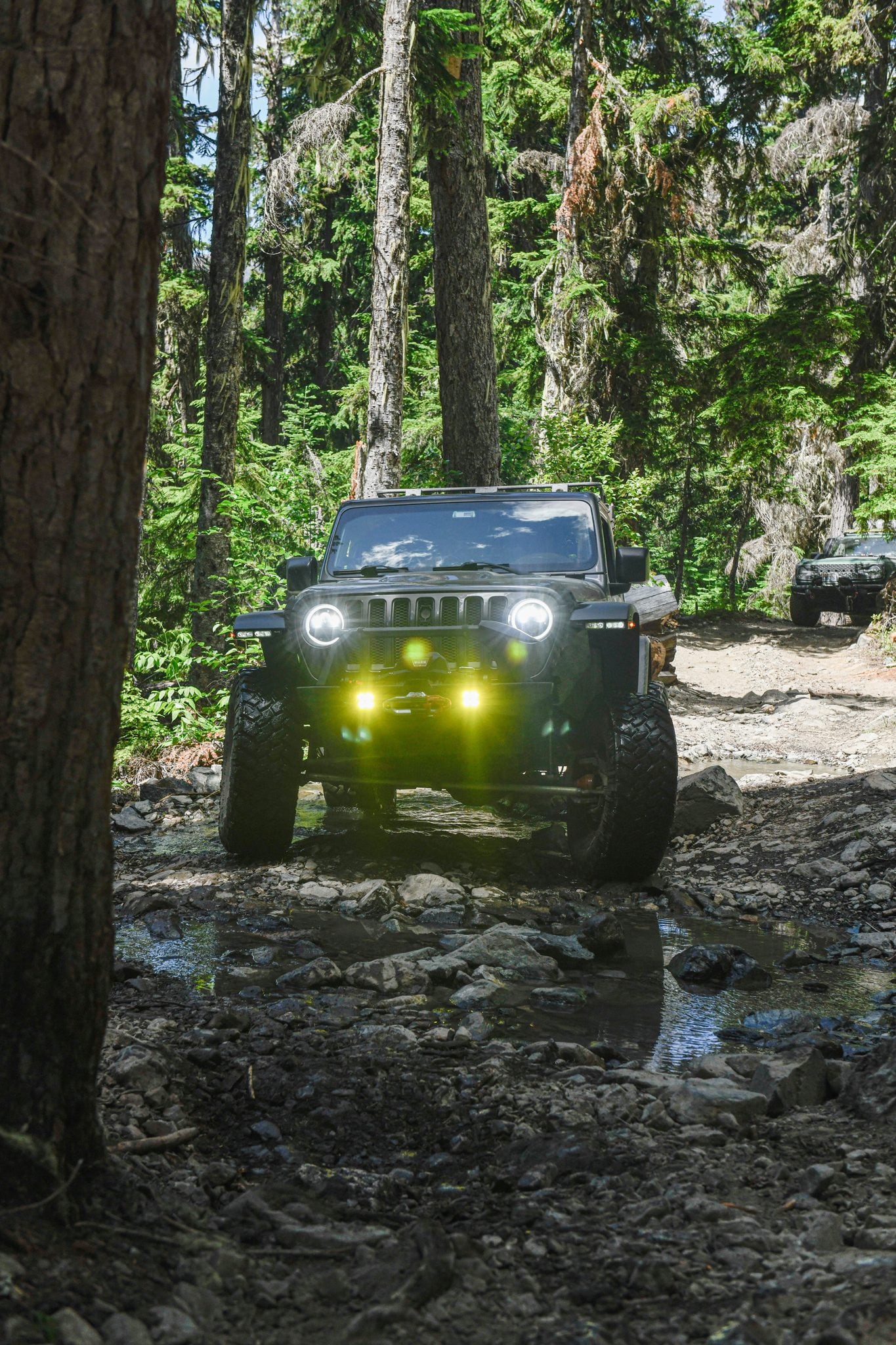 The Wrangler in the timber with the lights on
